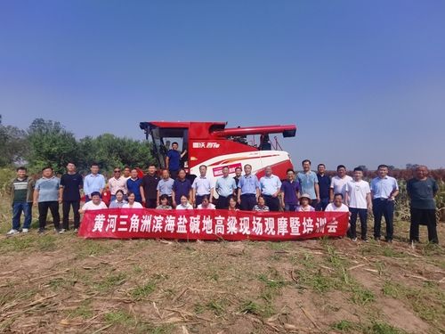 科技助力鹽堿地改良——黃河三角洲濱海鹽堿地高粱現(xiàn)場觀摩暨培訓(xùn)會成功舉辦