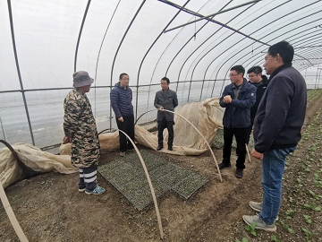 科技賦能百業，智慧農業守護常熟種質未來