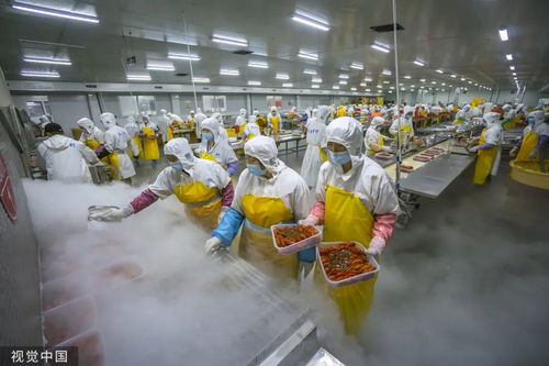 打1折的臨期食品，到底能不能吃？農業科技研發給出答案